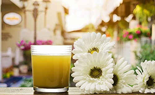 Palais Glassware Striped Collection; Striped Clear Glass Set