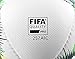 Voit Official Match FIFA Soccer Ball PULZAR Liga Bancomer MX Clausura 2019