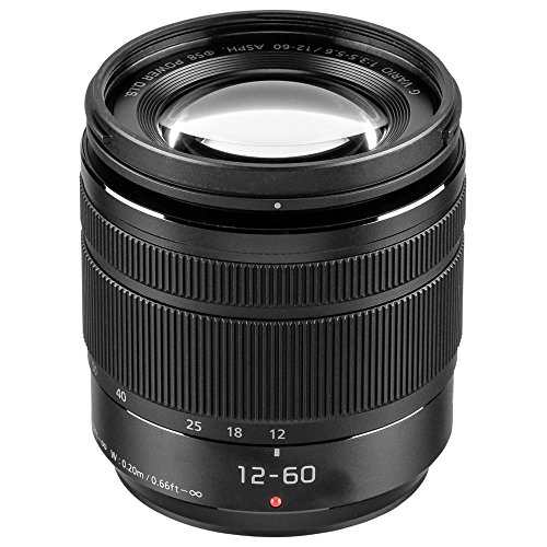 Panasonic H-FS12060E F3.5-5.6 ASPH Lumix G Vario Objektiv (24-120 mm KB; Staub- und spritzwassergeschützt)