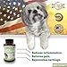Hip and Joint Support for Dogs