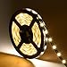 16.4ft Led Flexible Light Strip,300 Units SMD 2835 LEDs,12V DC Non-waterproof DIY Holiday Home Kitchen Car Bar Indoor Party Decoration(Warm White)