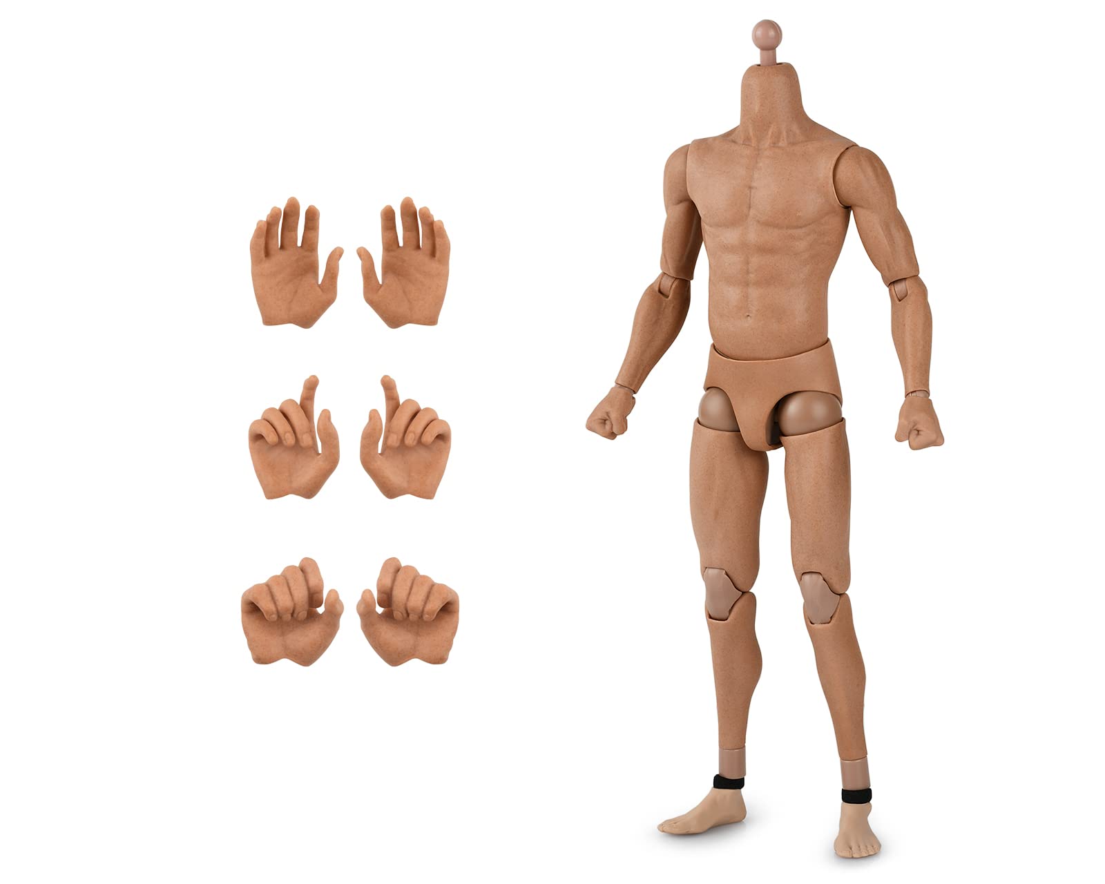 ds. distinctive style 1/6 Scale Male Body Narrow Shoulder Standard 12 Inch Action Figure with 8 Interchangeable Hands for Most Head Sculpt
