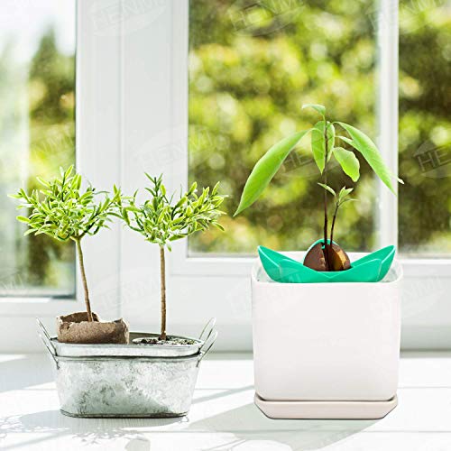 HENMI Avocado Planting Seed Germinator Bowl Avocado Tree Growing Kit Garden Gifts for Indoor Balcony Planting/Kitchen Garden Seed Starter Gift/Practical Gardening Gifts for Women