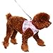 PUPTECK Soft Mesh Dog Harness and Leash Set Pet Puppy Cat Comfort Padded Vest No Pull Harnesses, Pink, XXS