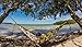 ENO Eagles Nest Outfitters - CamoNest Hammock, Retro Camo