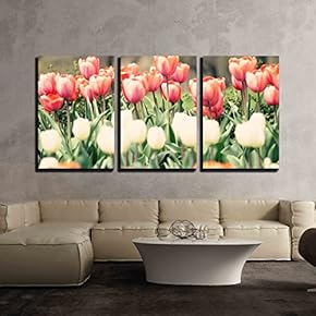 3 Piece Canvas Wall Art - Tulips in Three Colors - Modern Home Art Stretched and Framed Ready to Hang - 16"x24"x3 Panels