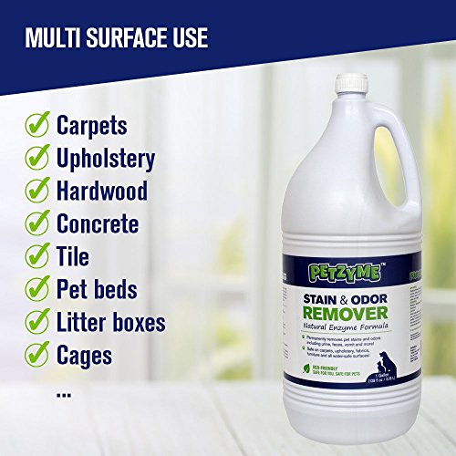 Petzyme Pet Stain Remover & Odor Eliminator, Enzyme Cleaner for Dogs