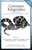 Common Kingsnakes (Advanced Vivarium Systems) by