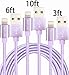 GOLDEN-NOOB 3Pack 3 6 10FT Nylon Braided Popular Lightning Cable 8Pin to USB Charging Cable Cord with Aluminum Heads for iPhone 6/6s/6 Plus/6s Plus/5/5c/5s/SE,iPad iPod Nano iPod Touch(Purple)