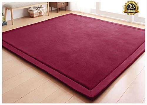 HIGOGOGO Japanese Coral Velvet Carpet Thickness:2cm, Wine Children Play
Mat Plush Foam Bedroom Mat Area Rug Yoga Mat, 47 by 63 inch Reversible
Living Room Carpet/Children Crawling Mat