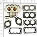 Briggs & Stratton 791230 Carburetor Replacement for Models 699709 and 499804