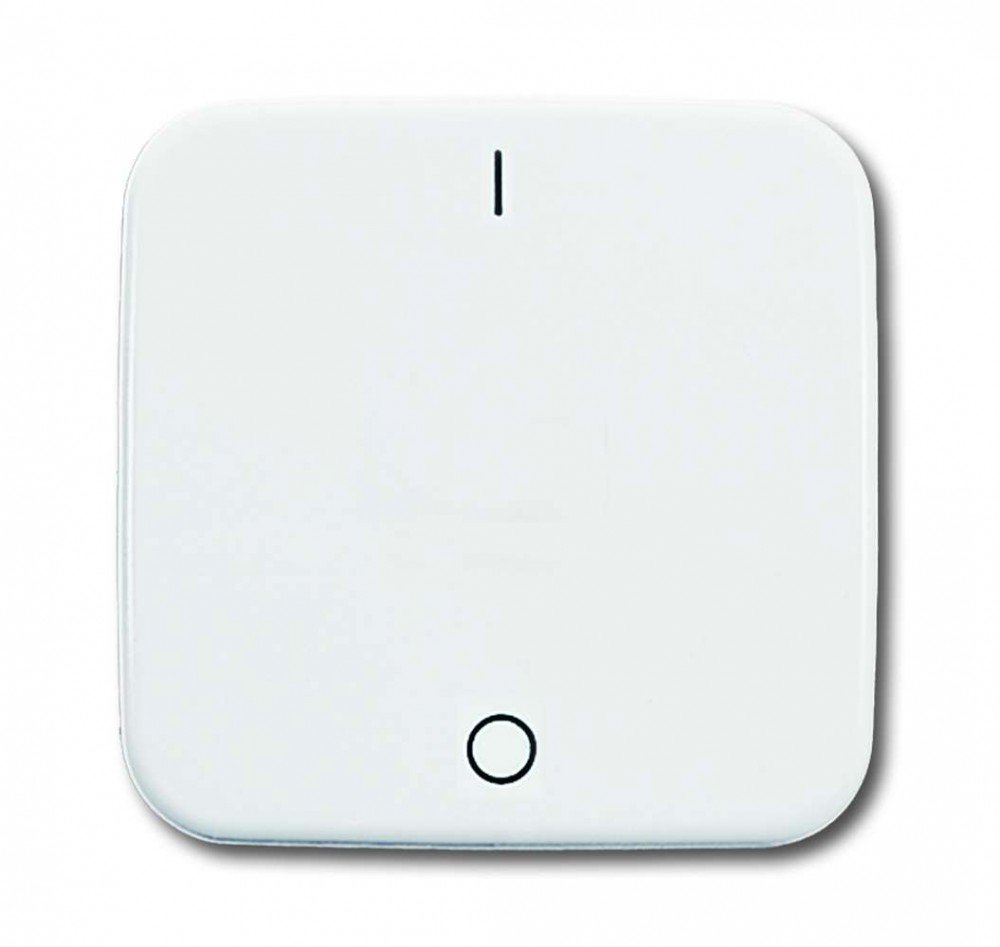 Busch-Jaeger 2502 214 Rocker with Closed Surface