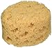 FolkArt Home Decor Sponge