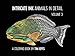 Intricate Ink: Animals in Detail Volume 3, A Coloring Book by Tim Jeffs by 