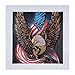 Diamond Painting DIY 5D Special Shape Rhinestones, ABEUTY Eagle and American Flag, Partial Drill Crystal Diamond Art Kits