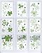 Moon Boat 102 PCS St Patrick's Day Decorations Shamrock Window Clings Clover Static Decal Stickers - Party Ornaments