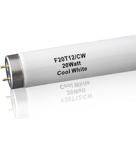 PHILIPS F20T12 / CW/Alto - 20 Watt - Cool White 273326 - Amazon.com