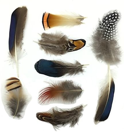 8 kinds of feather ALL in ONE Assorted for DIY, Dream Catcher, Craft （18pcs -22pcs)