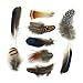 8 kinds of feather ALL in ONE Assorted for DIY, Dream Catcher, Craft （18pcs -22pcs)