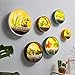 RRSHUN Round Glass Wall Planter, Wall Vase Planter Circle Flower Metal Iron Indoor Vertical Container Wall Hanging Home Decthumb 2