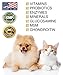 All-in-One Dog & Cat Probiotics, Hip Joint Pain Relief Formula, Vitamins, Digestive Enzymes, Antioxidants, Minerals, Glucosamine, MSM, Chondroitin, 100 Servings, 37+ Years Reputation - SIMIEN PureAll
