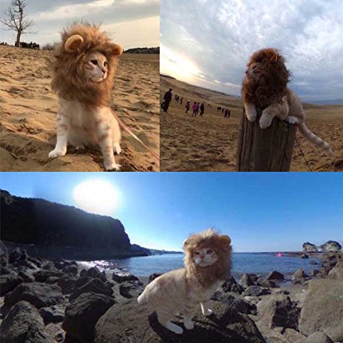 CPPSLEE Lion Mane Wig Costume for Cat (Gray)