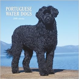 german water dog