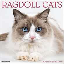 ragdoll calendar 2021 Ragdoll Cats 2020 Wall Calendar Willow Creek Press 9781549207570 Amazon Com Books ragdoll calendar 2021