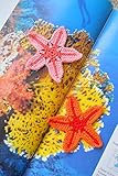 Crochet Applique Starfish crocheted sewing accessory Sewing craft Beach theme embellishment baby kids nursery Nautical ocean sea Beach wedding decoration party favors Set of 2