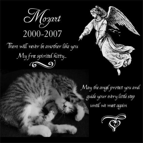 Personalized Dog Cat with Guardian Angel Pet Memorial 12"x12" Engraved Black Granite Grave Marker Head Stone Plaque