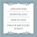 Our Own Candle Company Soy Wax Aromatherapy Candle, Simply Eucalyptus, 6.5 Ounce
