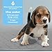 Washable Pee Pads For Dogs - 2 Large + 1 Free Travel Size Pee Pad - Super Absorbent & 100% Leak Proof - Reusable Puppy Training Pads - Simple Dog Incontinence Solution - Comfortable Whelping Pads
