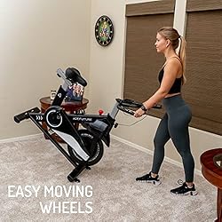 Acefuture Magnetic Resistance Exercise Bike for