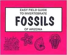 Easy Field Guide To Invertebrate Fossils Of Arizona Easy
