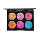 SMTSMT 6 Colors Eye Shadow palettes Shimmer Glitter Eyeshadow Powder Matte Highlighter Eyeshadow Makeup Palette (A)