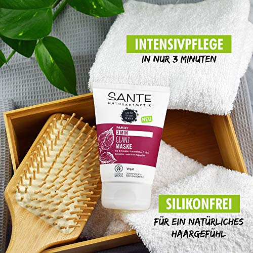 SANTE-Naturkosmetik-3-Min-Glanz-Maske-Bio-Birkenblatt-pflanzliches-Protein-Intensive-Haarkur-Schenkt-Glanz-und-Geschmeidigkeit-Verbesserte-Kmmbarkeit-Vegan-100ml