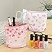 DELDE Pen Case, Happy Spring Limited Color (Cherry Blossoms Pink)