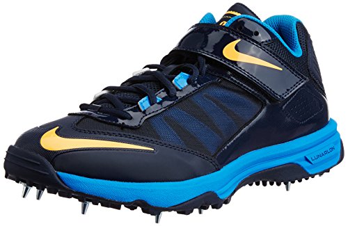 nike 2019 cricket shoes