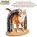 Purrfect Arch Deluxe Self Grooming and Massaging Cat Toy- Arch Brush Helps Reduce Shedding & Scratching To Keep Your Home Fur Free, Grey (PR011106)