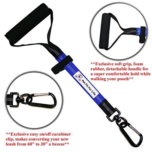 Pet Fit For Life Premium Hands Free Dog Leash For Running or Walking - All Purpose Dog Leash Bonus Soft Foam Rubber Handle - Reflective Dog Leash - Medium to Large Dogs (Renewed)