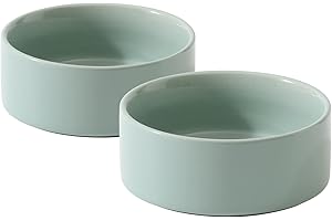 Havniva Ceramic Set of 2 Cat Bowls, Food and Water Bowls for Cats, Kitty, 2pcs Cat Dishes, Pet Feeder(5.1inch, 2 x Light Green Bowls)