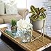 Cement Flower Pot with Stand - 6.3 Inch Tabletop Planter, Grey Herbs Orchids Cacti Succulents Pot Indoor with Gold Metal Stand