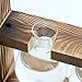 Ivolador Desktop Glass Planter Bulb Vase with Retro Solid Wooden Stand for Hydroponics Plants Home Garden Wedding Décor (Accessories)thumb 1