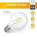 SHINE HAI G25 LED Vintage Filament Bulbs, 4W (40W Equivalent), 470 Lumens, 2700K Warm White, 360° Beam Angle, E26 Base Globe Bulb, Pack of 6