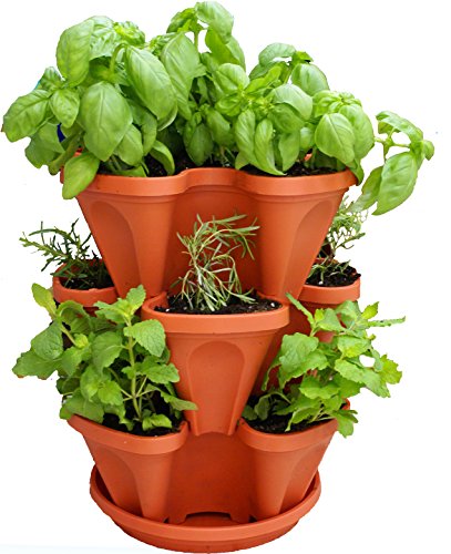 Mr. Stacky Self Watering 3 Tier Stackable Garden Vertical Planter Set, Terracotta