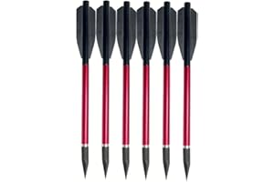 JIANZD 6.7 Inch Mini Archery Crossbow Bolts Set with Sharp Metal Tip, Reusable Durable Arrow Dart for Shooting Target Practice, Small Hunting Game, Outdoor Fishing-Red