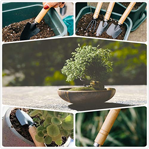 Bonsai Tool Kit, Bonsai Tree Kit Succulent Gardening Tools Set Of 8 Pcs