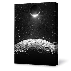 Canvas Wall Art for Living Room,Bedroom Home Artwork Paintings Beautiful Moonlight Ready to Hang - 12x18 inches