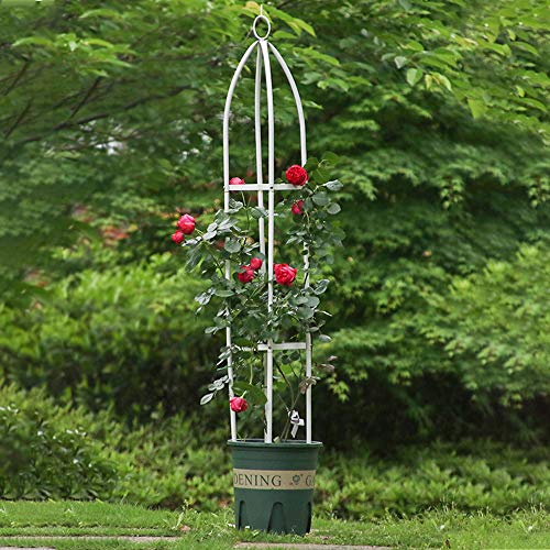 HANTURE 1,4 m Garten Obelisk Rankgitter, Kletterpflanzen Metall Stützständer Zylindrischer Turm, Dekorative Vertikale… – Bild 6