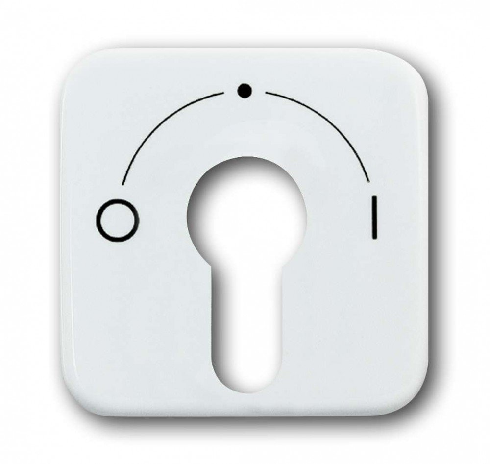 Busch-Jaeger Key Switch Cover Faceplate 2557SLPZ 214 White